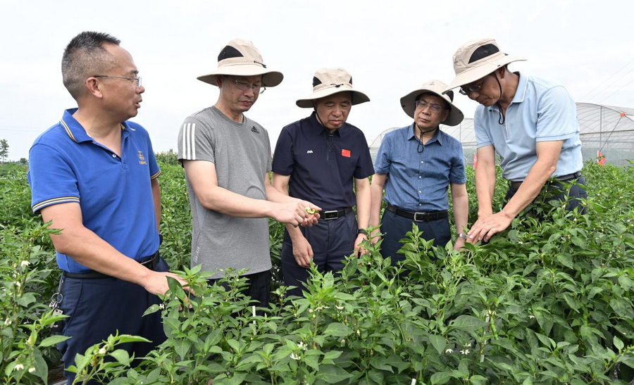 中国工程院院士邹学校一行考察88858cc永利官网兴蔬种业基地